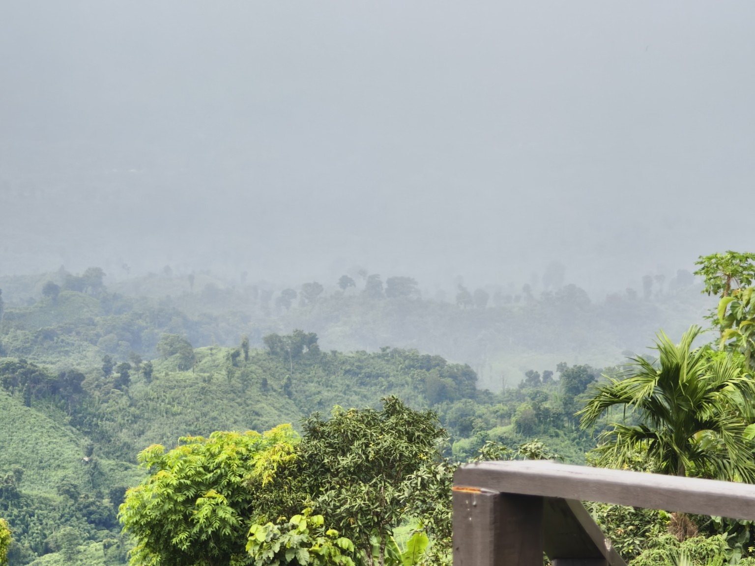 মৃত্যুঞ্জয়ের ছবি